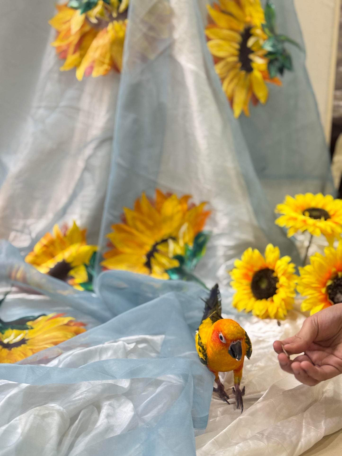 Mukhi sky blue hand painted organza dupatta with sunflower artwork styled in a soft floral setting